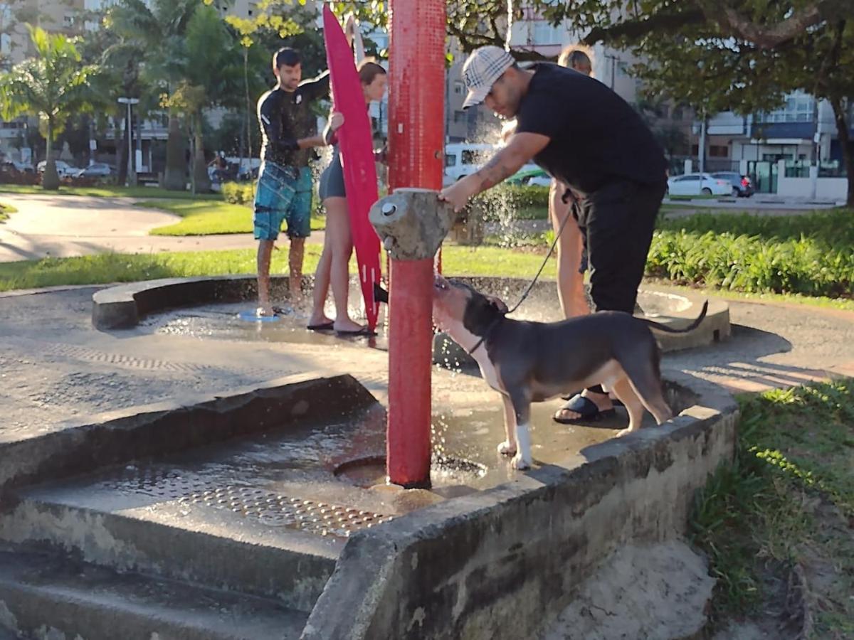 E Goianas Pensão Santos (Sao Paulo)